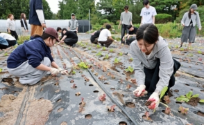 120년 전통 ‘노작교육’ 효과 실증… “ESG 실천력 향상”