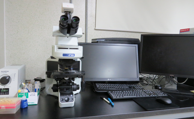 형광현미경 1(Fluorescence microscope)