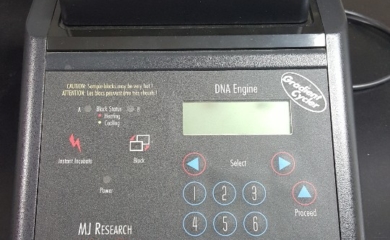 Gradient PCR