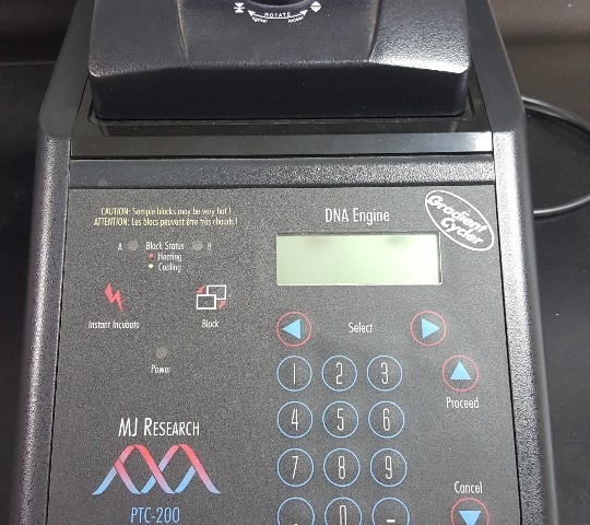 Gradient PCR