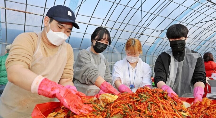 [사진] 삼육대 재학생들이 김장나눔 행사에 참여하고 있다 (2)