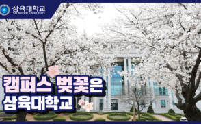 캠퍼스 벚꽃은 역시 삼육대학교! | Cherry Blossoms in Sahmyook University