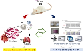 천식 개선하는 '복합 유산균' 개발한다