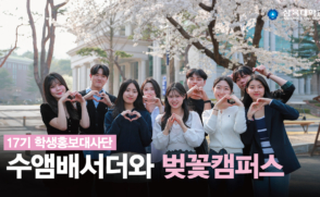 수앰배서더와 ?벚꽃 캠퍼스?를 즐겨보아요!