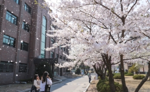 삼육동 캠퍼스, '서울 4대 봄꽃 명소' 선정