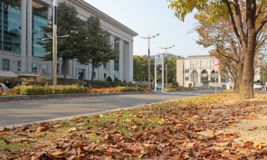 [삼육동사진관] 낙엽 깔린 교정…가을아 잘 가 🍂