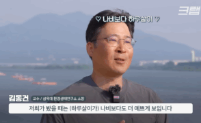 [KBS 크랩] 김동건 교수, 하루살이 막는 ‘신박한 퇴치법’ 화제