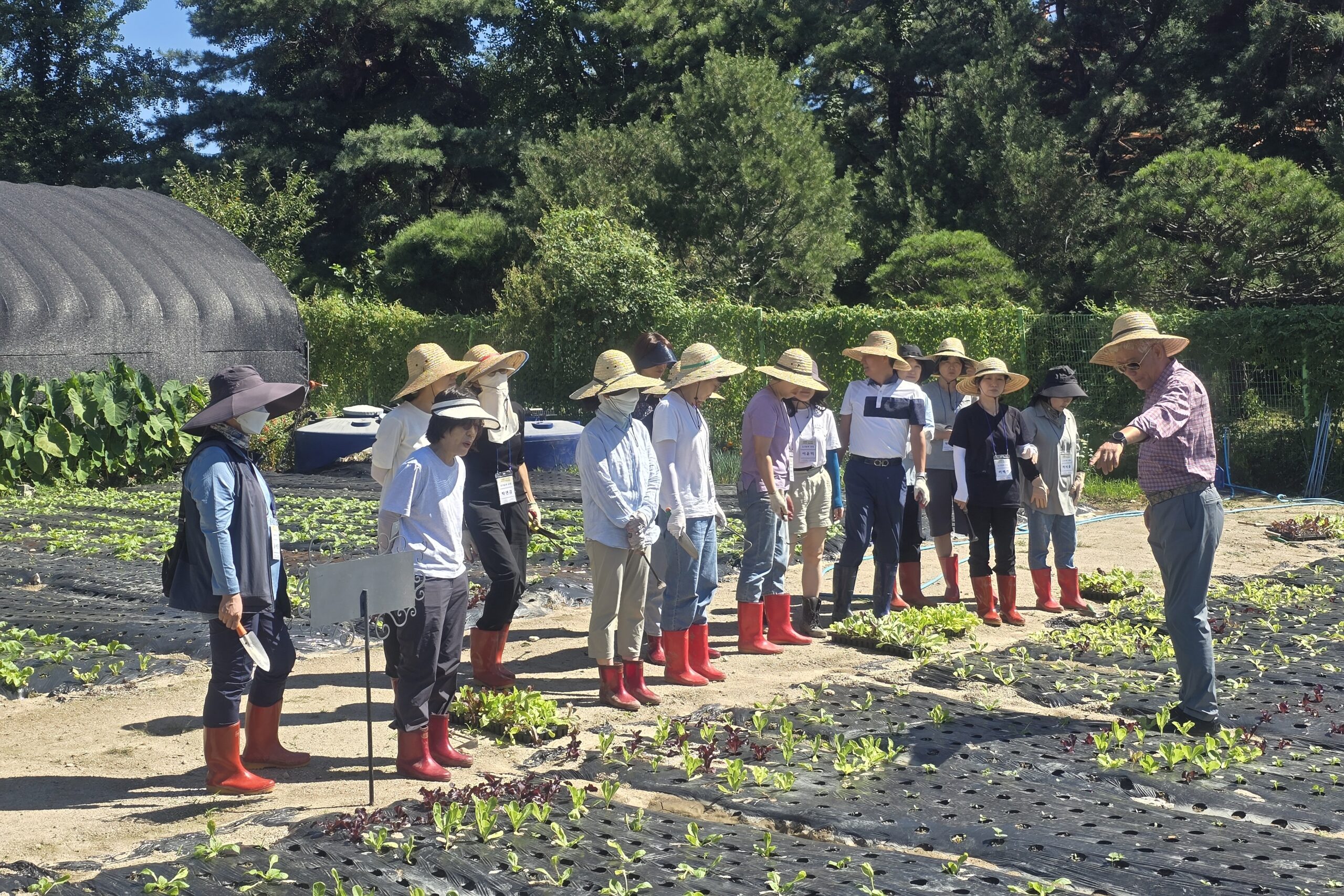 인생 2막, 배움으로 열다… 평생교육원 '서울마이칼리지' 성료