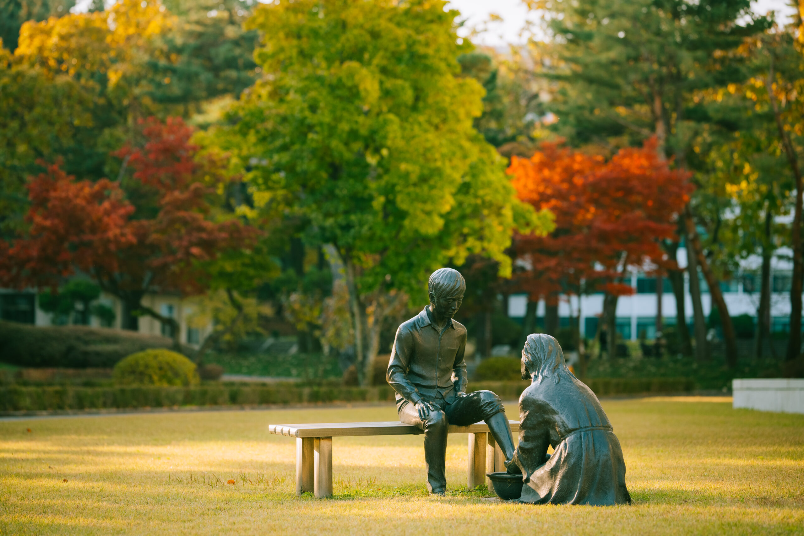 삼육동 가을 절정… 울긋불긋 물든 캠퍼스