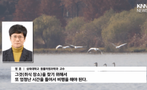 [KNN 뉴스] 정훈 교수 “철새도래지 무분별 선박 활동, 개체수 악영향”