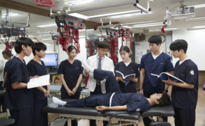 물리치료학과, 국가고시 100% 합격