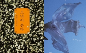 '한강'과 '한국문학'이 휩쓴 25년 도서관 대출 순위