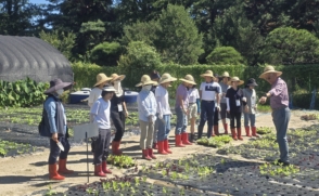 중장년 새출발 돕는다… '서울마이칼리지' 3년 연속 선정