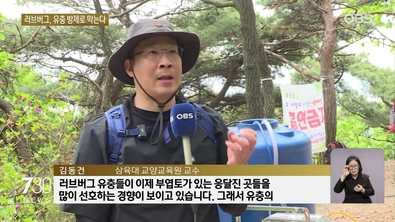 '러브버그' 유충부터 잡는다… 김동건 교수팀, 친환경 방제 실험 돌입