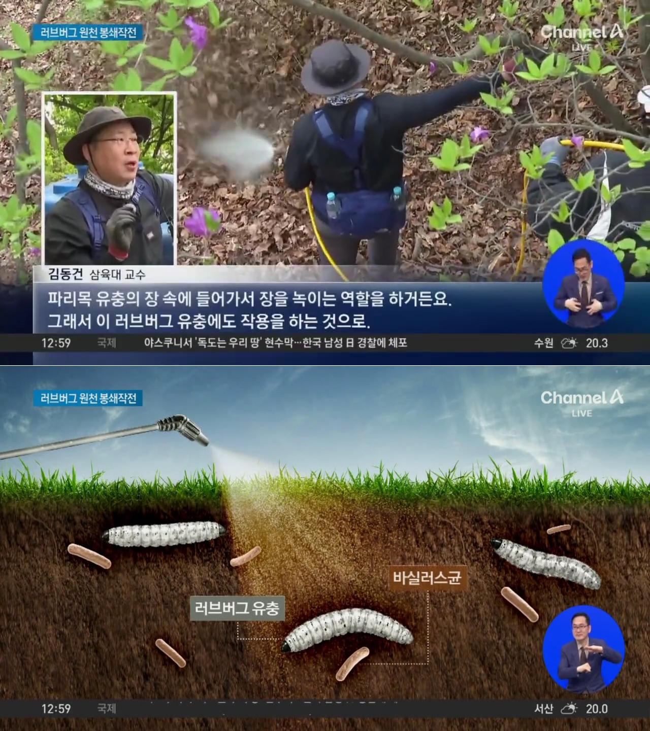 '러브버그' 유충부터 잡는다… 김동건 교수팀, 친환경 방제 실험 돌입
