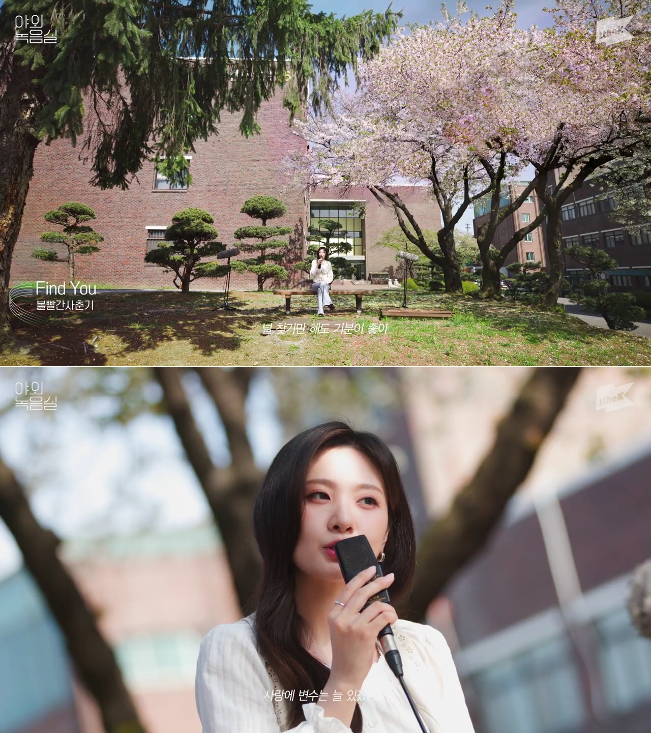 '볼빨간사춘기'까지… 미디어가 사랑한 '삼육대 벚꽃'