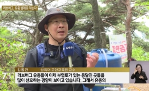 '러브버그' 유충부터 잡는다… 김동건 교수팀, 친환경 방제 실험 돌입