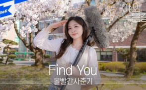 '볼빨간사춘기'까지… 미디어가 사랑한 '삼육대 벚꽃'