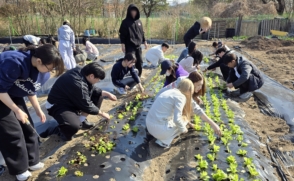 '노작'으로 수확한 농산물, 지역 취약계층에 나눈다