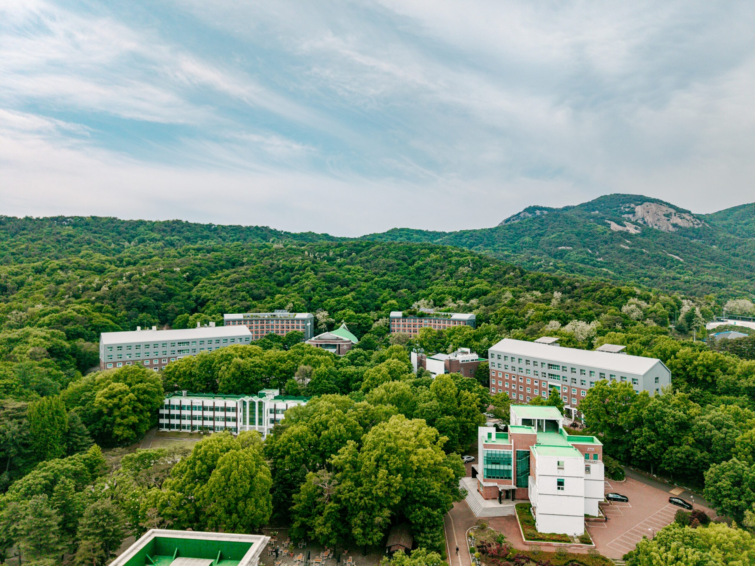 하늘에서 본 삼육동의 초여름