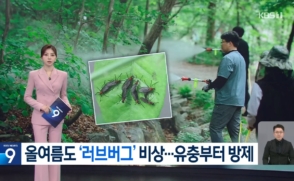 제명호서 대규모 '러브버그' 유충 첫 발견… 김동건 교수팀 방제 주도
