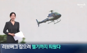 [채널A 뉴스] 러브버그 잡으려고 헬기까지 띄웠다