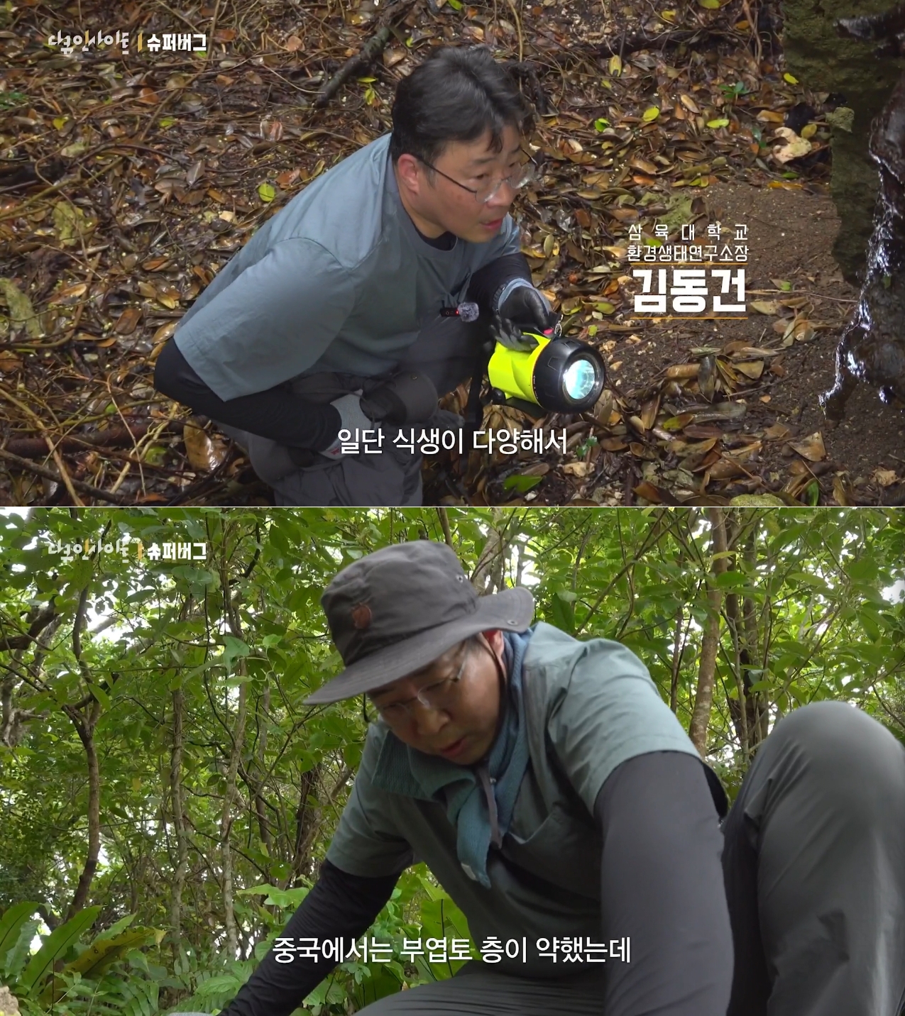 [KBS] 김동건 교수 ‘다큐 인사이트’ 출연… '러브버그' 대발생 해법 제시