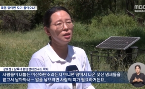 [MBC 뉴스] 환경생태연구소 강효정 박사 “모기, 더위 꺾이면 다시 기승”