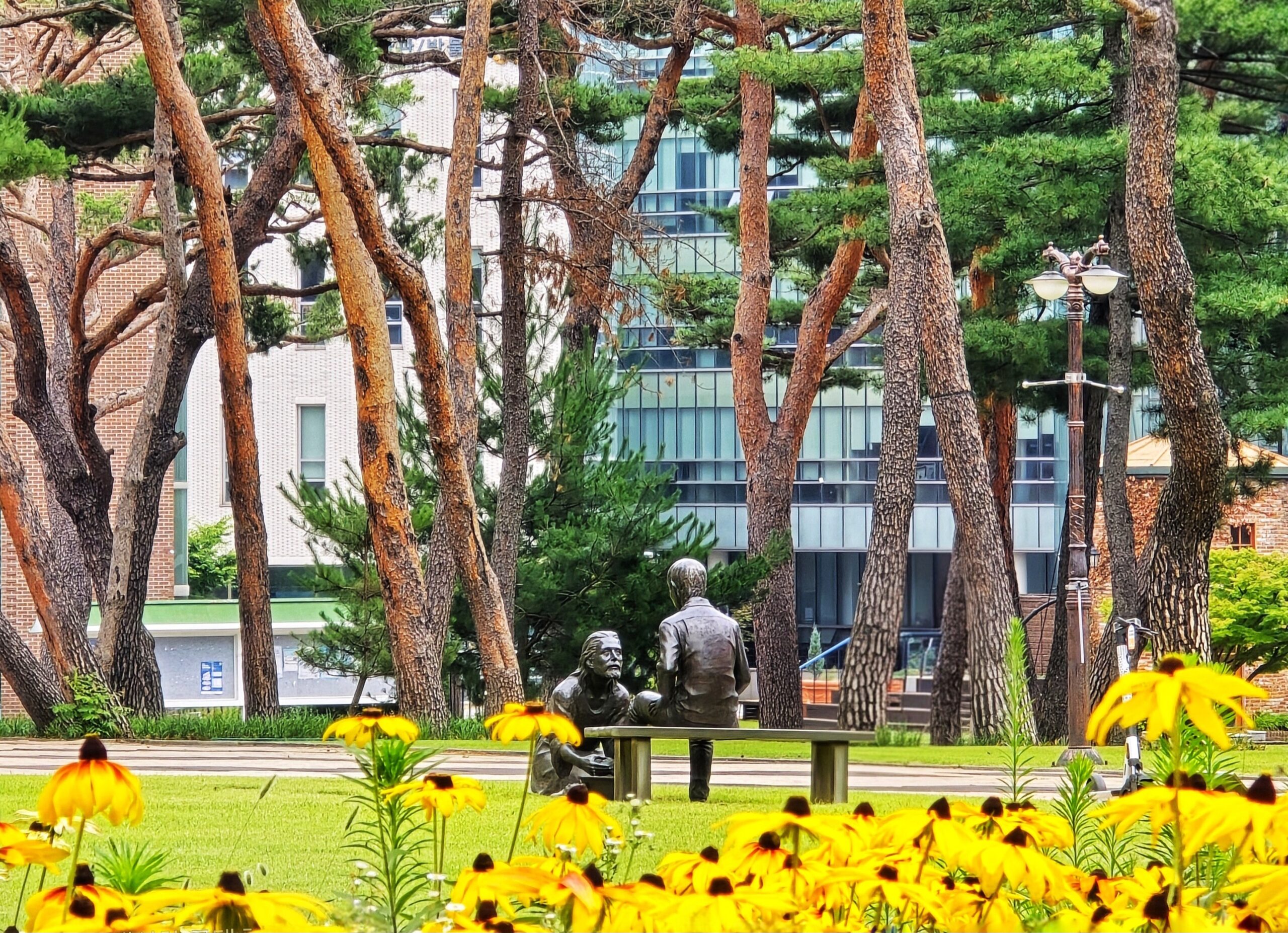 개교 120주년 사진 공모전 수상작 공개