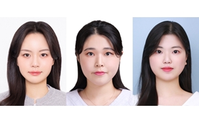 링크