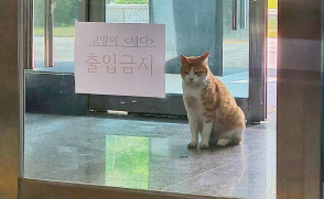 [일정표] 하반기 집중취업지원기간 _11월 취업프로그램 한번에 보기