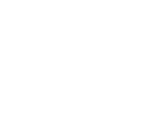 IR DSS